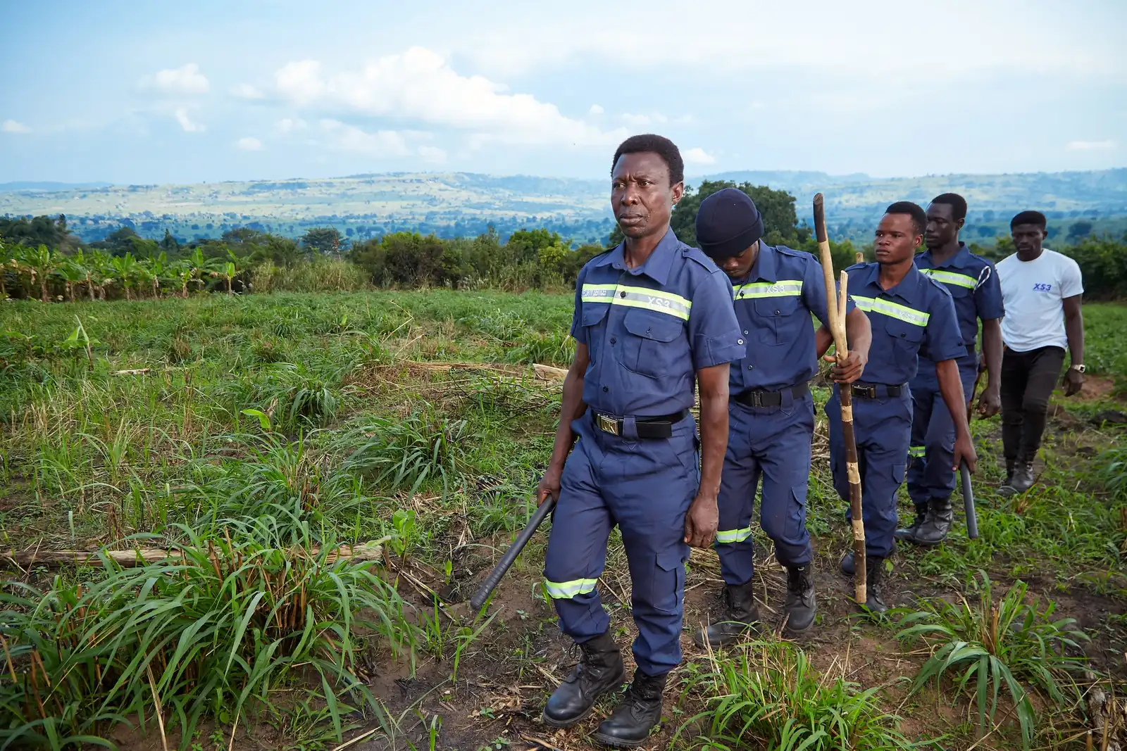 A monitoring patrol walking through regrowth in Ghana