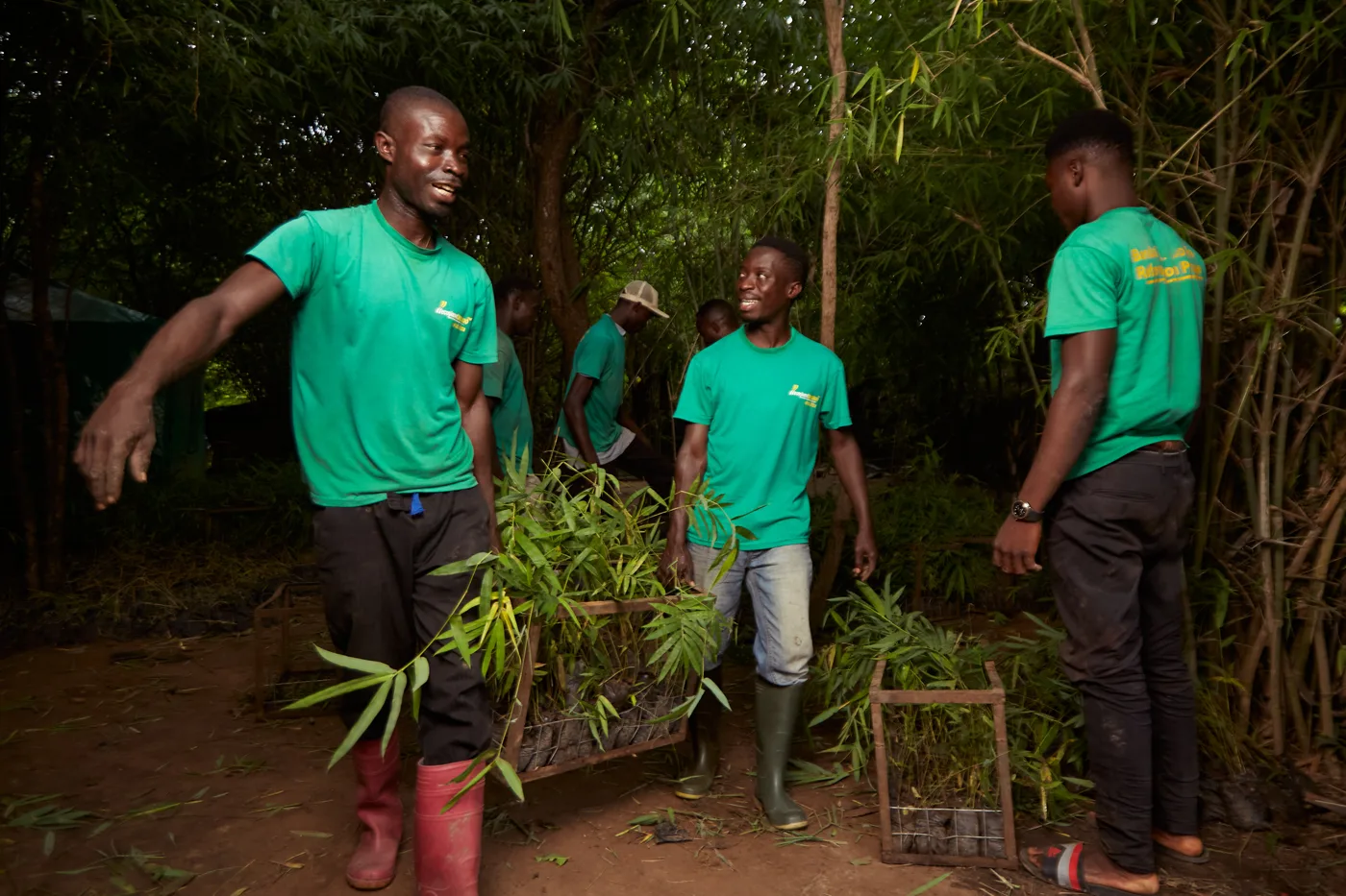 Ghana field team laughing while carrying a seedling crate