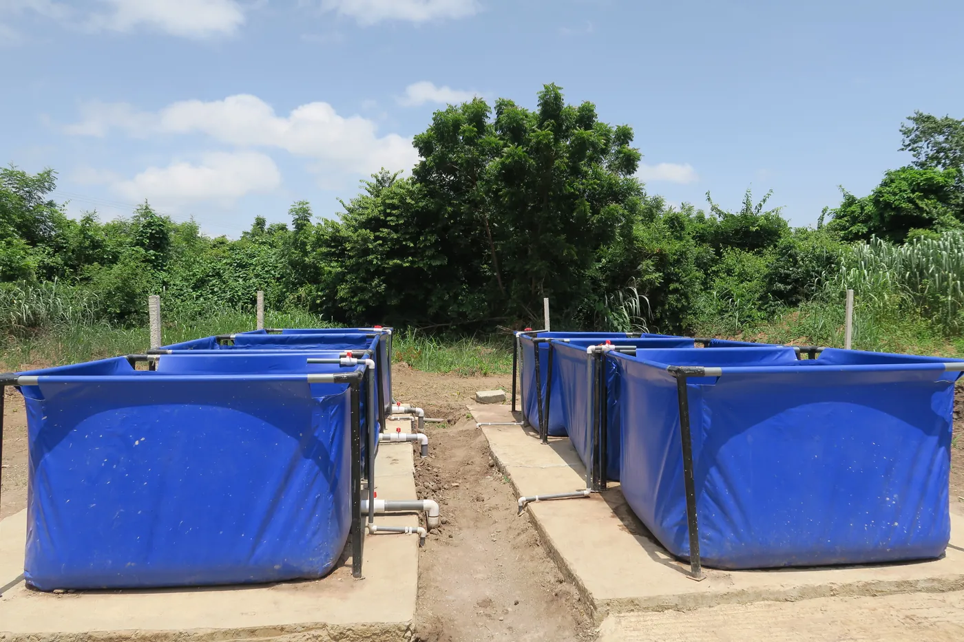 The aquaculture facility at Agogo, Ghana