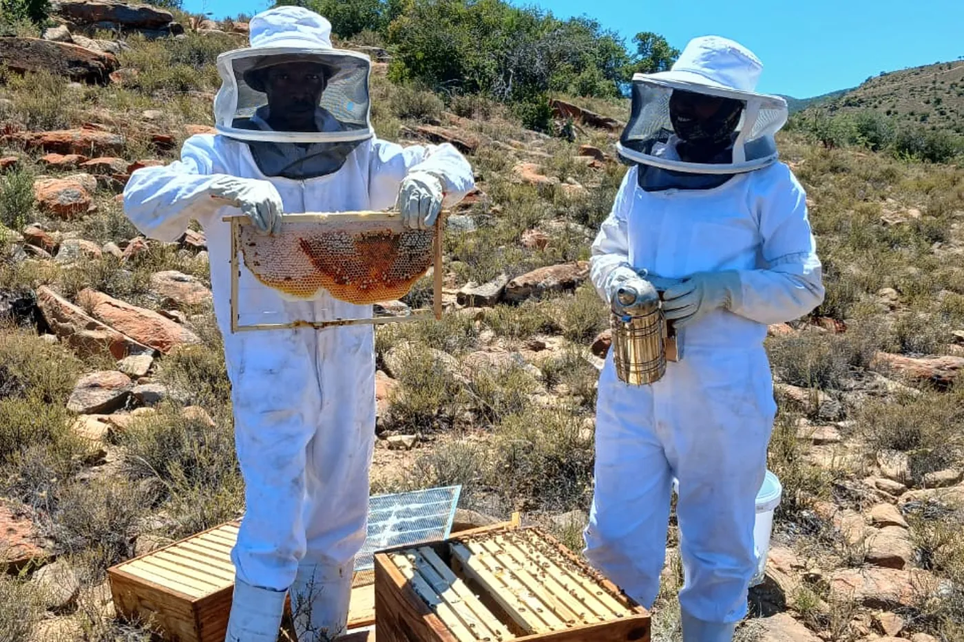 Beekeeping within an EcoPlanet project area