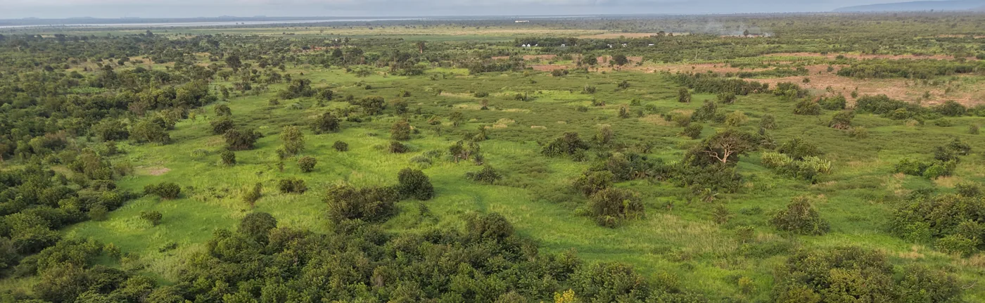 The natural floodplain within the project area, seen from the air, with open water on the horizon