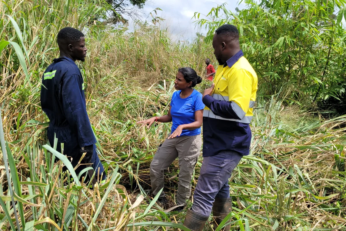 An EcoPlanet team reviewing a site together