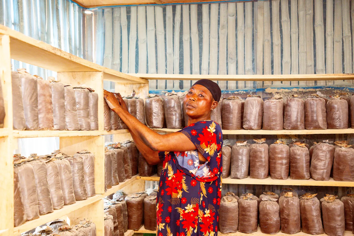 A community mushroom farm in Ghana