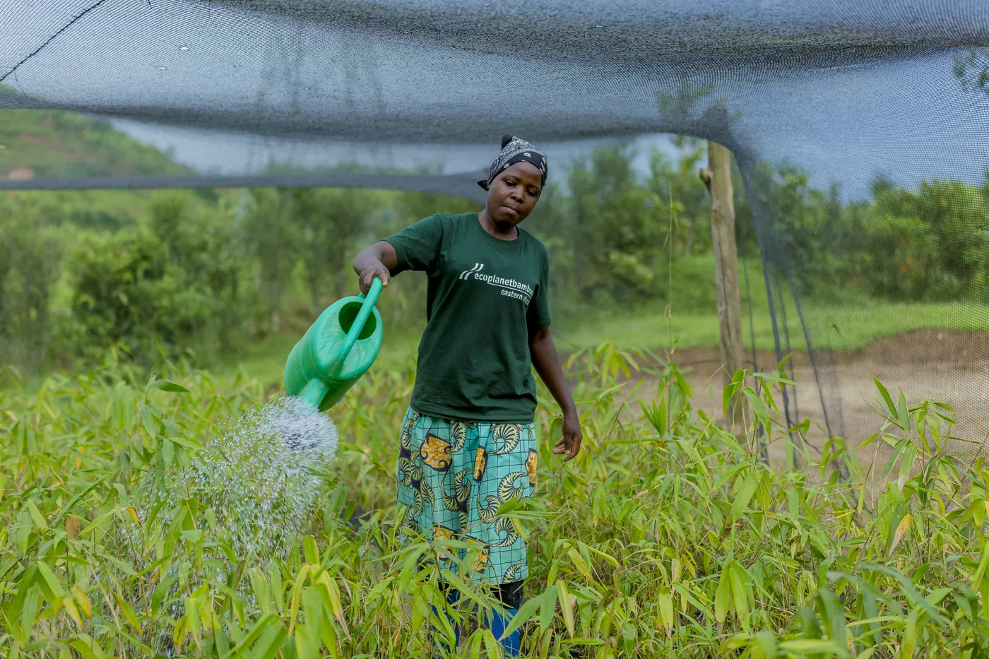 An EcoPlanet field worker