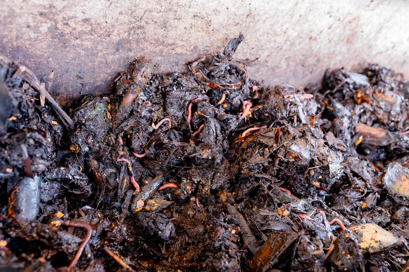 A circular waste project at an EcoPlanet site