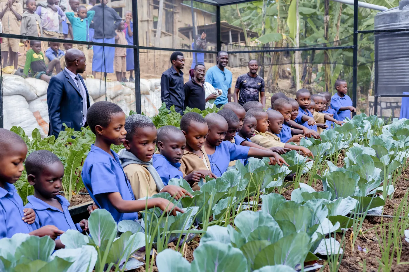 A community vegetable growhouse