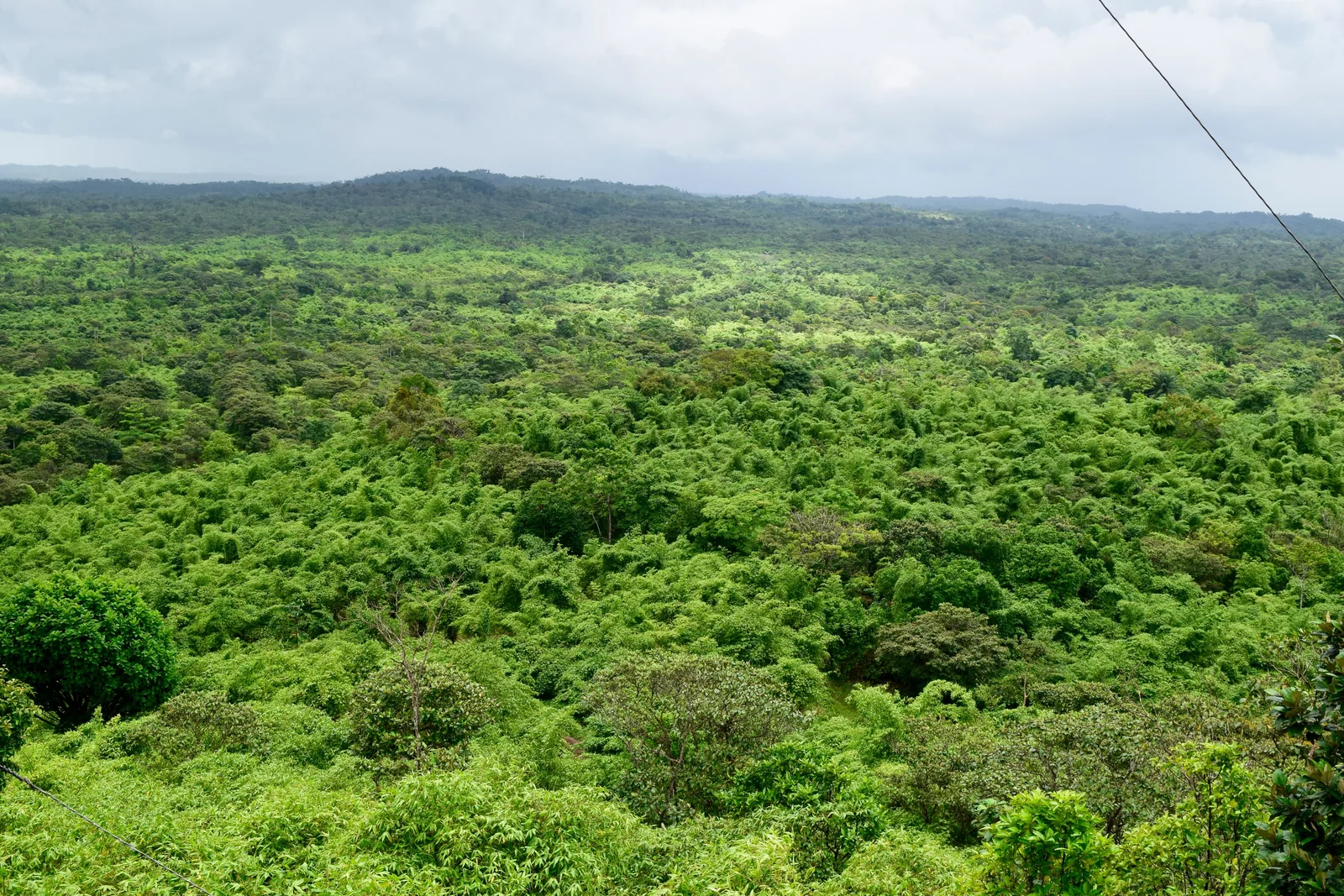 Forested hills across EcoPlanet's restored landscape in Nicaragua