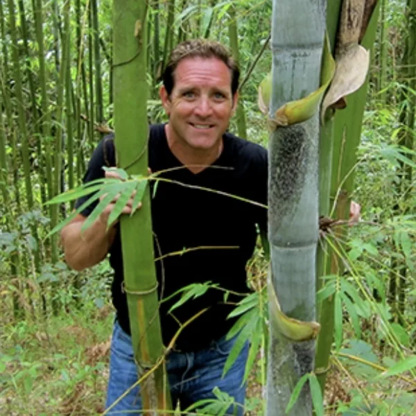 Troy Wiseman among mature bamboo culms