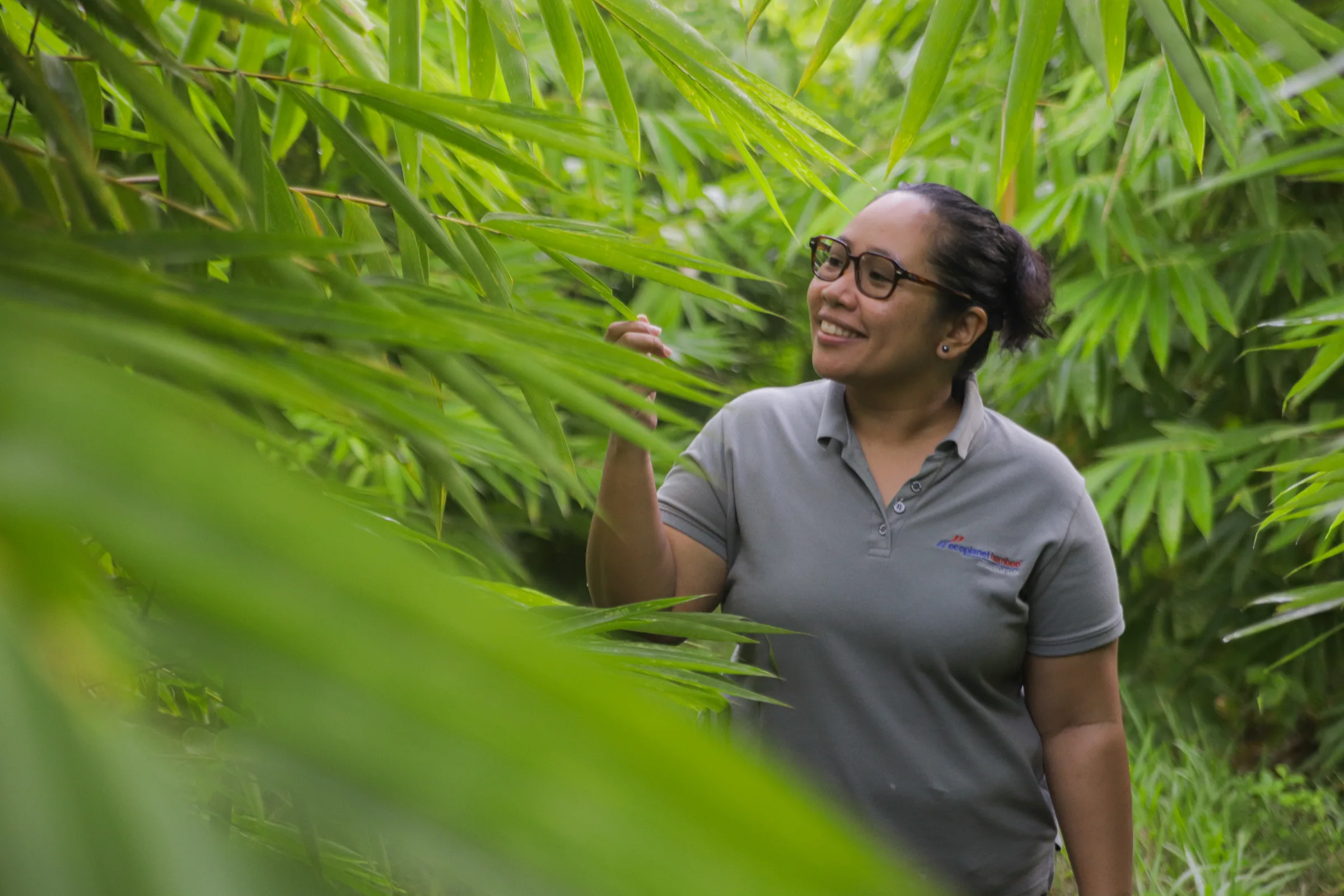 A staff member examining bamboo in the Philippines