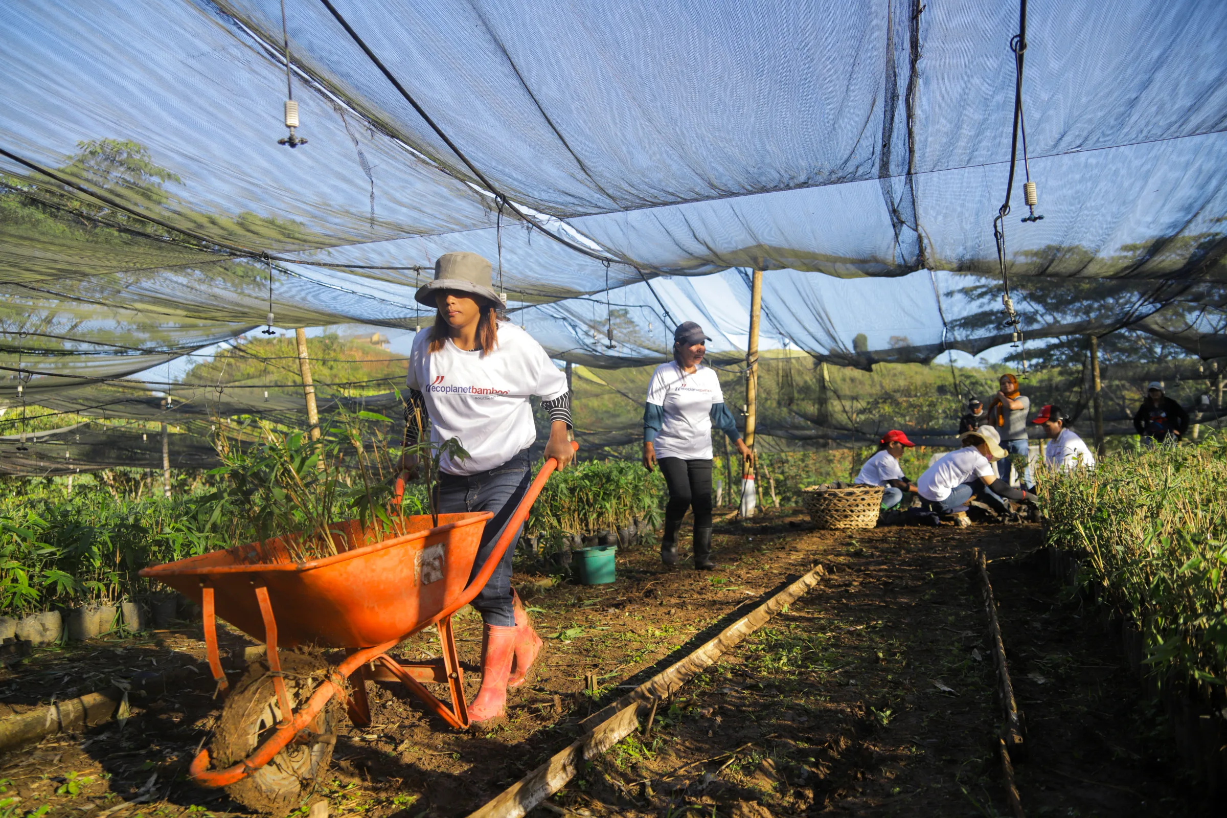 Nursery staff moving bamboo seedlings under shade net in Lanao del Sur, Philippines