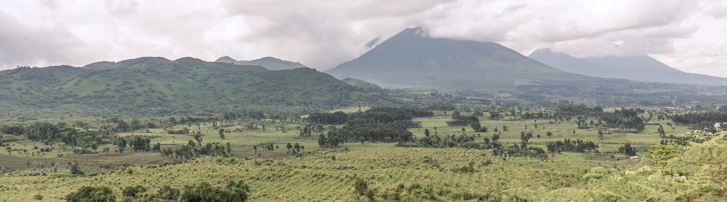 Volcanoes National Park, Rwanda, seen across the farmland below it