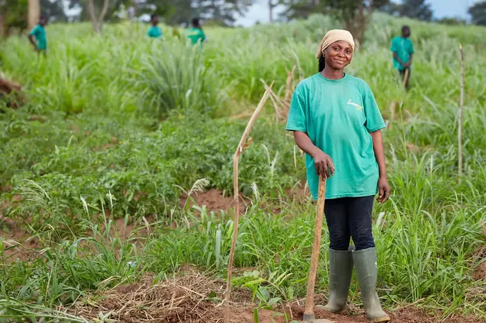 A woman worker standing in a restored planting block