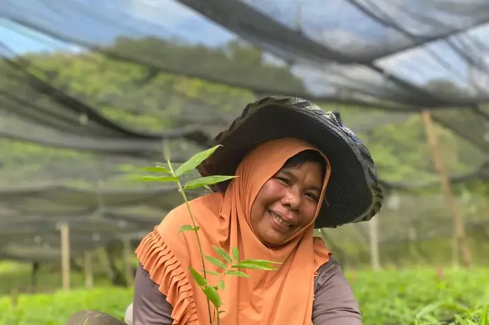 A woman worker planting seedlings in the field