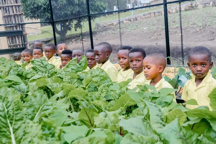 Schoolchildren beside the vegetable beds at their growhouse
