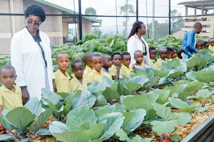 A teacher and her class among the cabbages in a school growhouse
