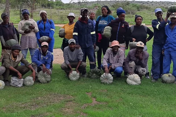 The farm workforce together near Makhanda