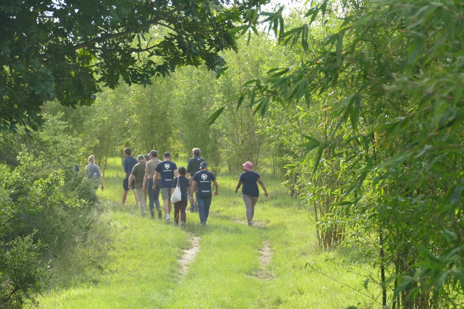 The team walking a path through the bamboo on the Eastern Cape estate