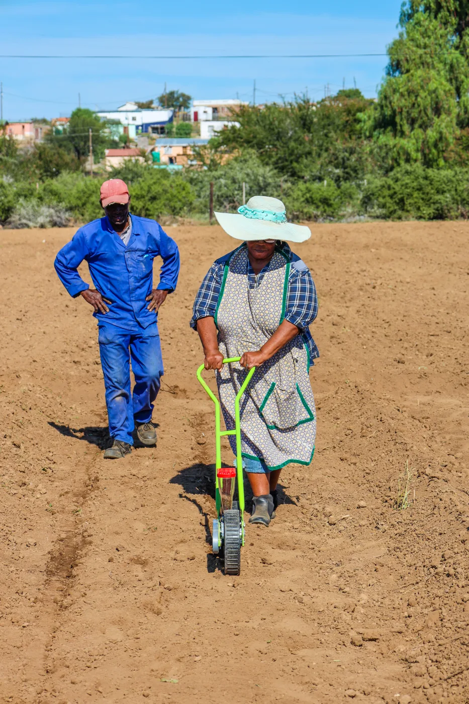 Sowing seed on the farm near Makhanda