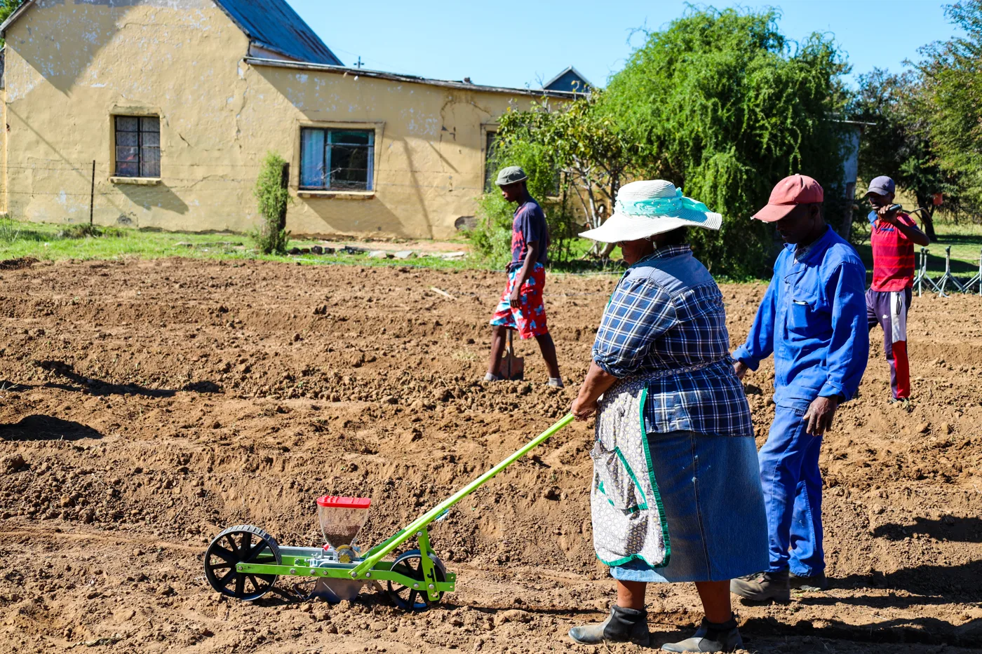 A worker guiding a seed planter along a garden bed in the Eastern Cape