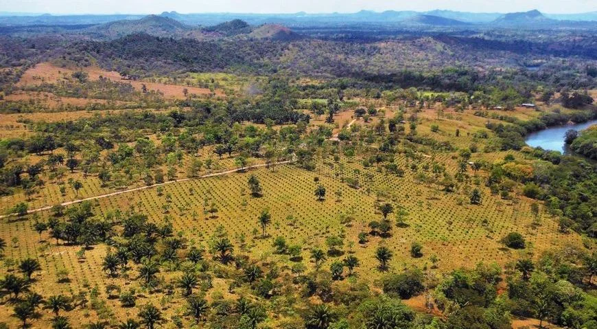 Degraded cattle pasture on Nicaragua’s Atlantic Coast before restoration